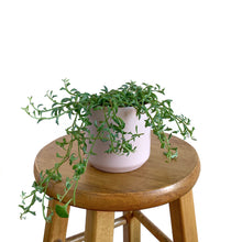 Load image into Gallery viewer, 4&quot; Kendall Plant Pot - Pink
