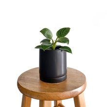 Load image into Gallery viewer, 4&quot; Matte Ceramic Plant Pot With Tray - Black
