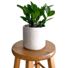 Load image into Gallery viewer, 6&quot; Patterned Dolomite Plant Pot - White
