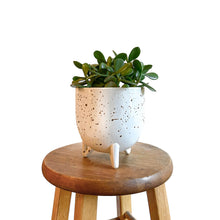 Load image into Gallery viewer, 6&quot; Speckled Pot - Cream and Brown
