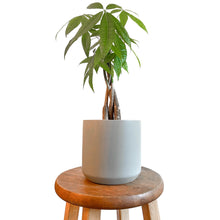 Load image into Gallery viewer, 6&quot; Kendall Plant Pot - Grey

